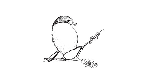 Coloring book happy birds for kids. Funny birds, flowers, leaves and berries. Flat vector illustration with cartoon bird silhouette. Cute characters. Minimalist poster design.