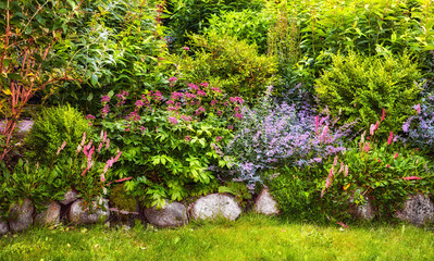 Garden design, perennial and flower growth in nature for sustainability, landscaping and conservation. Backyard, flowerbed and ornamental plants in floral environment for biodiversity and ecosystem