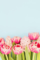 Bouquet of pink tulips and hyacinths on light blue background. Copy space