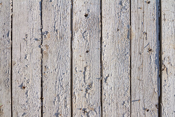 Wooden light background. Old white painted fence in good condition. Solid wooden wall from weathered boards. Barn wood wall