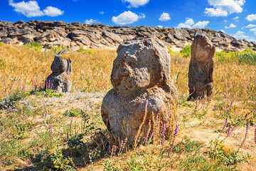 View of the ancient kurgan stelae, stone idols, in the steppe in southern Ukraine, close-up on a...