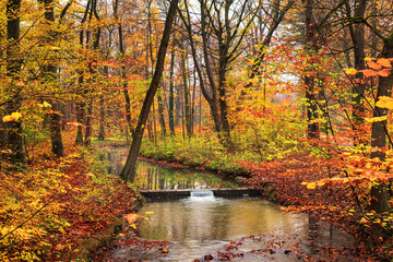 Autumn landscape - view of a autumn park and stream with rapids, in the Englischer Garten is a public park in Munich, Bavaria, Germany