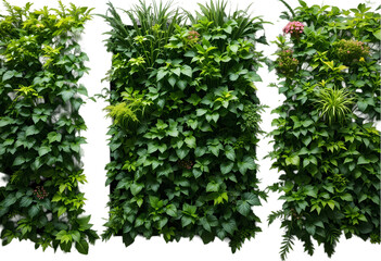 Buy Artificial Green Walls isolated on transparent background