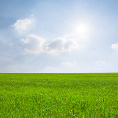 Fototapeta premium wide green rural field under a sparkle sun on blue cloudy sky