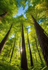 vibrant forest textures patterns showcasing diversity lush earthy textured lively foliage under bright sunshine, nature, landscape, greenery, tree, leaf
