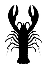 Omar, lobster silhouette on a white background