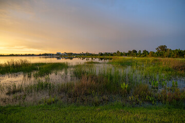 Sunset over lake water in southern tropical wetlands. Amazing Florida nature