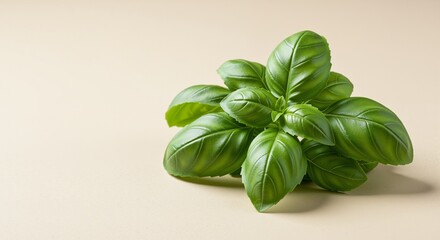 Obraz premium Fresh green basil leaves on a light background conveying a sense of vitality, representing culinary inspiration and the essence of Italian cuisine in a simple, elegant composition