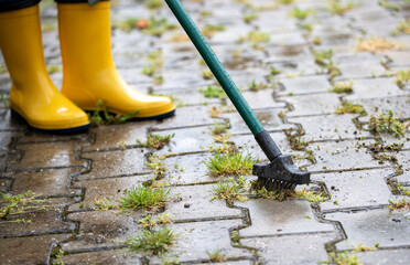 Cleaning weeds from pavement with a brush in rainy weather