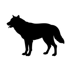 Obraz premium a black silhouette of a wolf standing with its mouth slightly open vector illustration