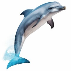 Fototapeta premium A sleek dolphin cutout, gracefully posed against a clean white backdrop, highlighting its fluid form and elegance.