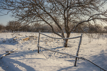 Winter scene in the forest , beautiful winter landscape with sun and lights of the sun. Trees covered by snow , old village in the woodlands , sunlights through the trees.