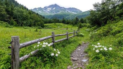 Fototapeta premium Wooden fence along a dirt hiking path leading through a green alpine meadow towards distant mountains.