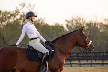 Horse Equestrian hunter jumper riding portrait tack English attire  