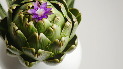 Blooming Artichoke in White Vase
