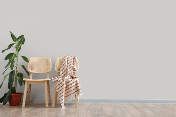 Fototapeta premium Chair with plaid and Ficus houseplant near grey wall in room