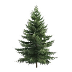 Christmas Tree on Transparent Background