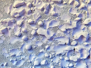 Close-up image of a textured purple and grey surface with organic shapes and patterns.