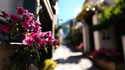 Vibrant flowers in a picturesque alleyway, capturing the charm of a sunny day in a quaint village