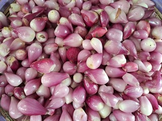 Pile of Organic Shallots Freshly Harvested