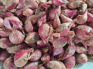 Pile of Organic Shallots Freshly Harvested