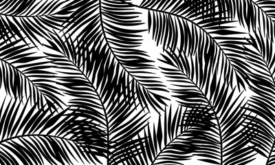 Tropical black palm leaves pattern white background. vintage nature decoration. 