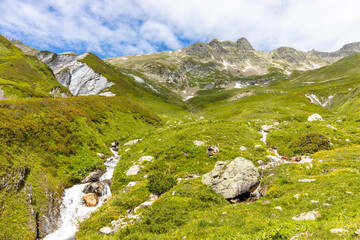 Tour du Mont Blanc beautiful alpine scenic view. Landscape of the summer Alps mountains with pocky peaks, blue ice glacier, green grass and blooming flowers. Alps in Italy and France hiking and trek