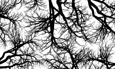 Abstract black roots pattern decorative white background. Line art tree. retro monochrome art.