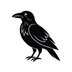 Standing Crow Bird Silhouette Graphic Vector Illustrations