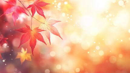 Fototapeta premium web banner design for autumn season and end year activity with red and yellow maple leaves with soft focus light and bokeh background
