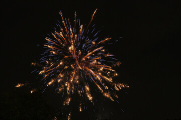 A huge firework display lit up the night sky