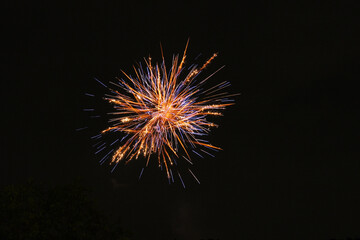 Obraz premium A huge firework display lit up the night sky