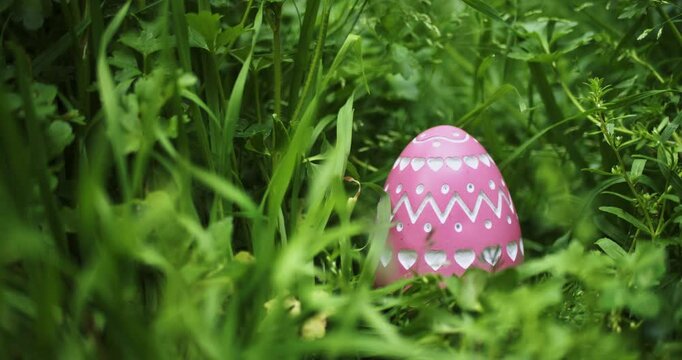 A single well hidden pink Easter Egg with intricate carved design. Easter Egg found concealed in dense grass for Easter Egg hunt. Loop.
