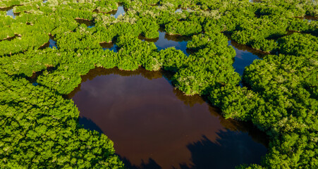 Aerial View of Lush Mangroves and Tranquil Waters in Rincon del Mar, Sucre, Colombia