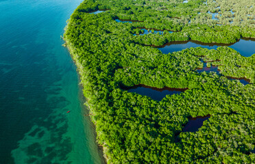 Aerial View of Lush Mangrove Forest and Caribbean Sea Near Rincon del Mar, Sucre, Colombia