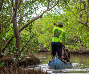 Exploring the Mangrove Ecosystem in Rincon del Mar, Sucre, Colombia