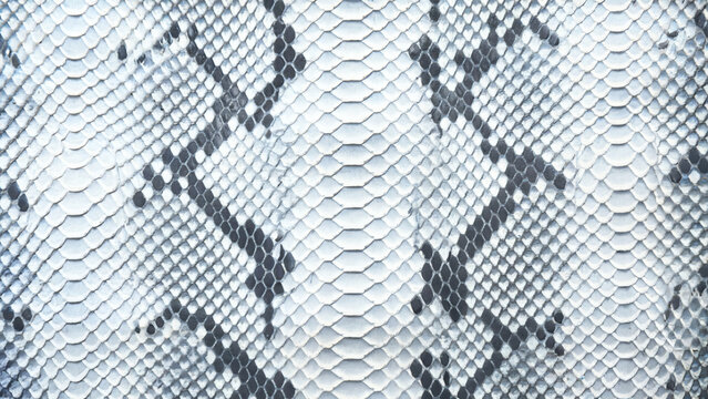 Black python pattern on white pattern, vegan python, vegan crocodile leather background