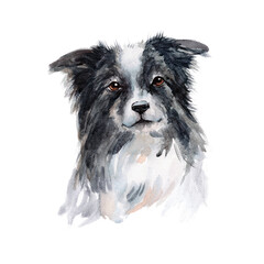 Farm, shepherd dog, watercolor illustration