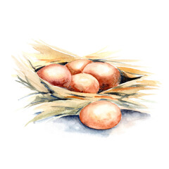 Farm, animals and objects, watercolor illustration