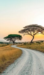 Fototapeta premium Serene Landscape with Curved Road and Acacia Trees at Sunset