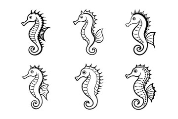 Obraz premium seahorse vector llustrator of white background 
