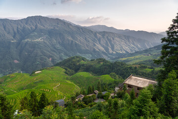 Longji Rice Terraces: The artistic beauty of nature