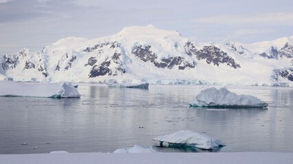 icebergs in antarctica
