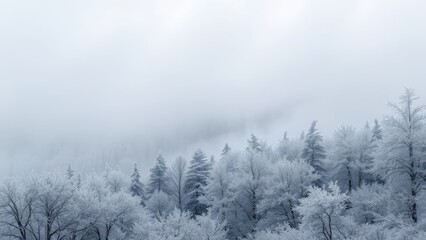 Snowy Coniferous Forest in Foggy Mountain Landscape