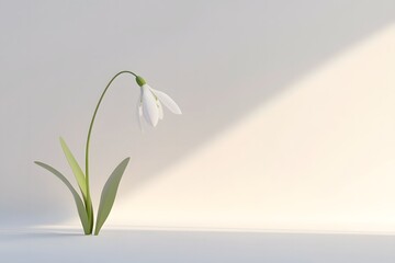 Fototapeta premium Realistic Wildflower Showcase with Vibrant Colors and Delicate Petals