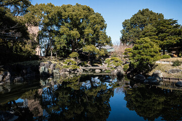 東京都清澄庭園池のほとりの景色