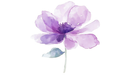 A watercolor painting of a purple flower with a green stem