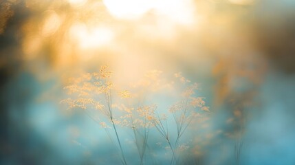 Obraz premium This soft focus photograph shows tall, swaying grass lit by warm sunlight against a misty landscape, capturing the enchanting essence of early mornings light and serene atmosphere
