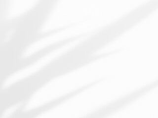 優しい葉のシルエット背景 / Soft Plant Silhouette Background – Light & Airy Design