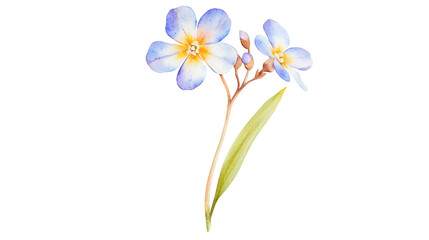 Naklejka premium A watercolor painting of a flower with a stem